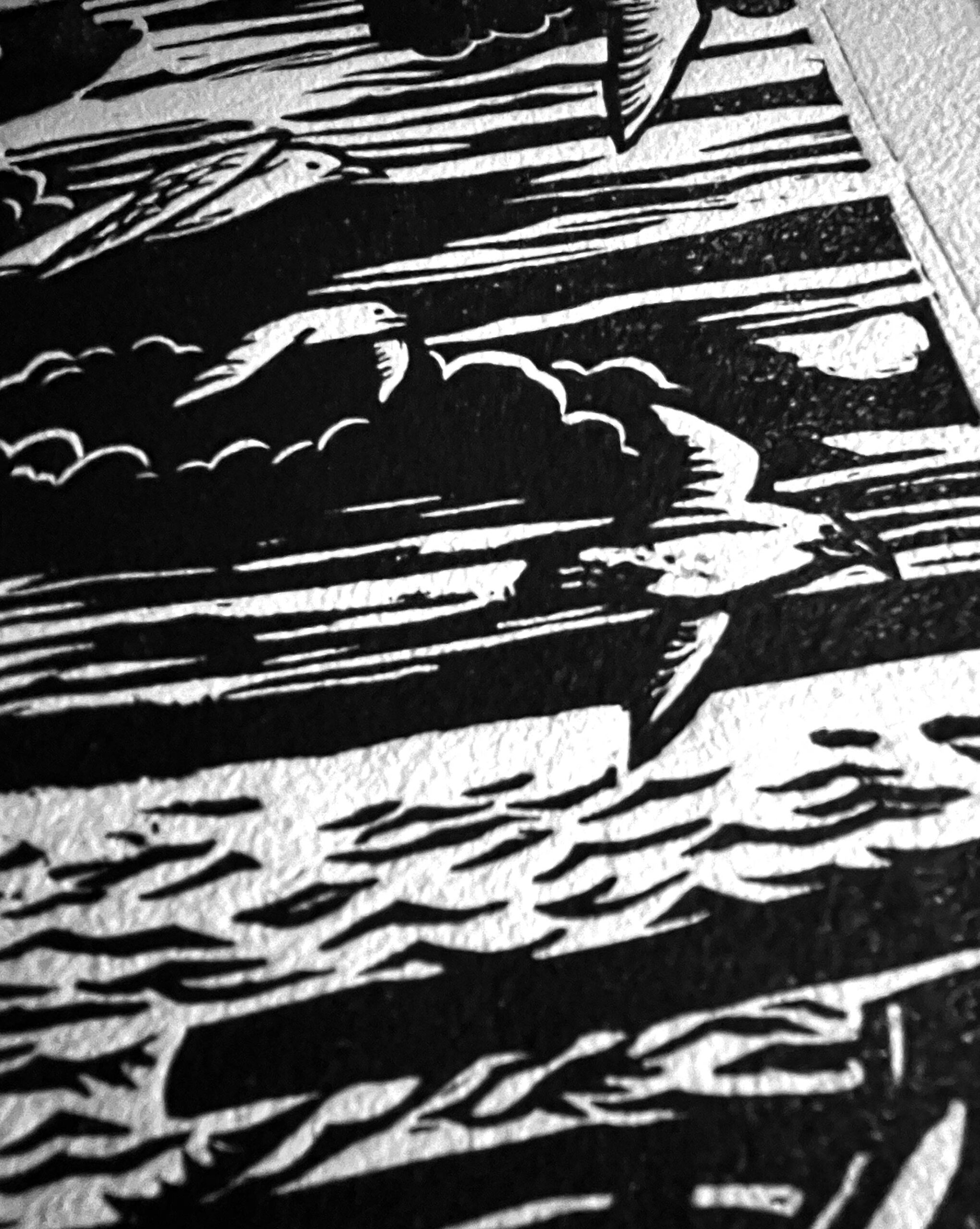 NRD_021_colab_estampaisaac_pescador_x2-2