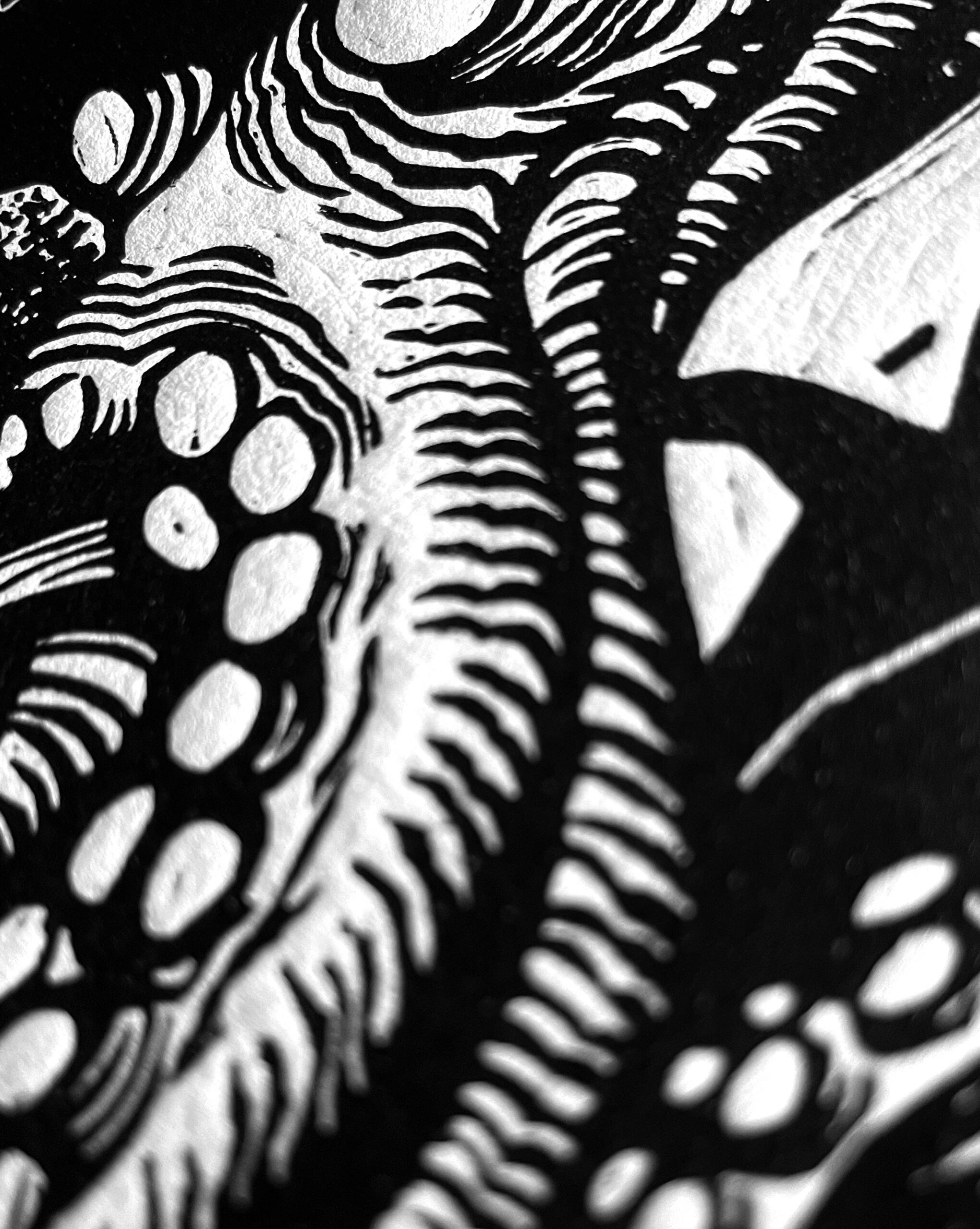 NRD_022_colab_estampaisaac_srpop_x2-3